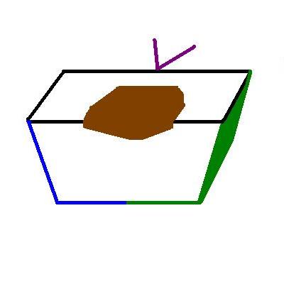 Orientated ellipse of skin